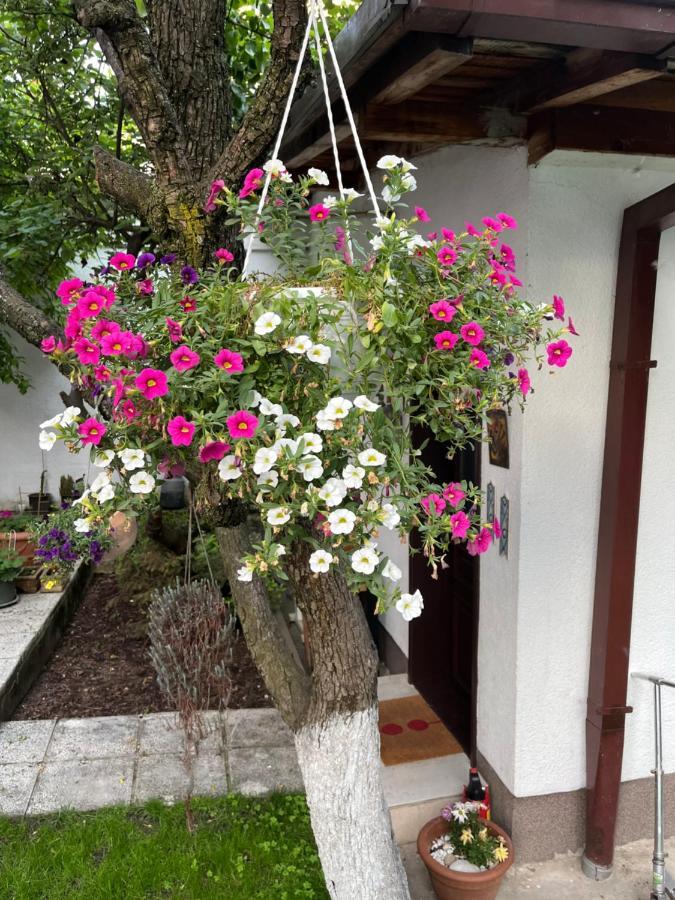 Apartments Music And Garden Saraievo Exterior foto